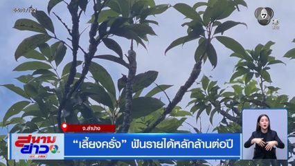 เลี้ยงครั่ง ฟันรายได้หลักล้านต่อปี จ.ลำปาง