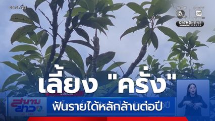 เลี้ยงครั่ง ฟันรายได้หลักล้านต่อปี จ.ลำปาง
