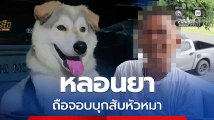 บีบหัวใจคนรักหมา! ชายอายุ 57 ปี หลอนยาถือจอบบุกสับเจ้าเฮงสุนัข 3 ขา