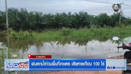 ฝนตกน้ำท่วมพื้นที่เกษตร เสียหายเกือบ 100 ไร่