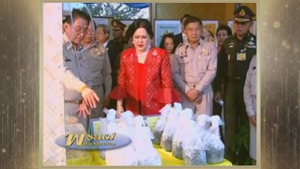 สารคดีพิเศษ พระพันปีหลวง ในดวงใจ ตอนที่ 219