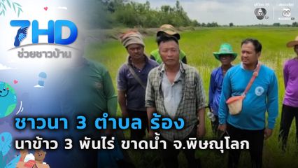 ชาวนา 3 ตำบล ร้อง ! นาข้าว 3 พันไร่ ขาดน้ำ จ.พิษณุโลก