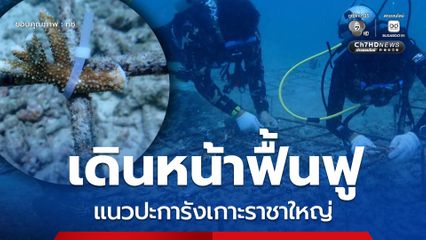 ทช. เดินหน้าฟื้นฟูแนวปะการัง เกาะราชาใหญ่ ปลูกปะการังเสริม คืนความสมบูรณ์ทะเลภูเก็ต