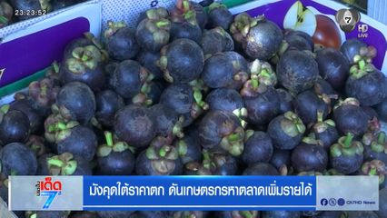 มังคุดใต้ราคาตก ดันเกษตรกรหาตลาดเพิ่มรายได้