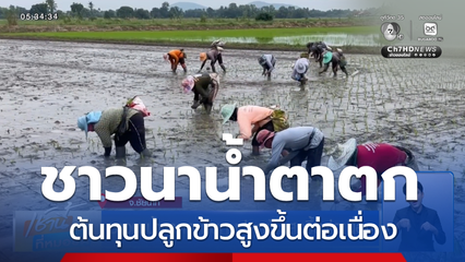 ชาวนาน้ำตาตก ต้นทุนปลูกข้าวสูงขึ้นต่อเนื่อง