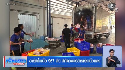 อายัดโค 967 ตัว สกัดวงจรสารเร่งเนื้อแดง