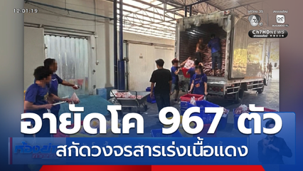 อายัดโค 967 ตัว สกัดวงจรสารเร่งเนื้อแดง