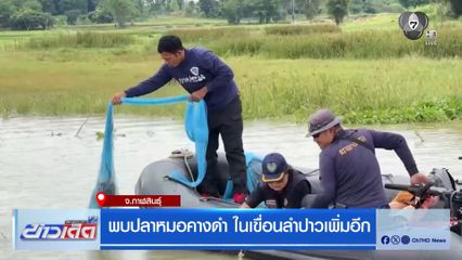 พบปลาหมอคางดำ ในเขื่อนลำปาวเพิ่มอีก
