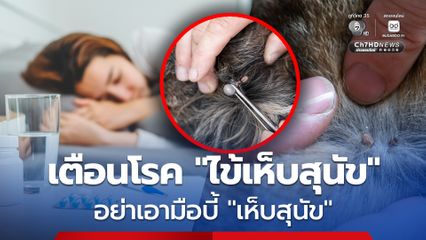 เตือนไข้เห็บสุนัข SFTS ย้ำอย่าเอามือบี้เห็บสุนัข เช็กอาการป่วย และ 3 วิธีป้องกันโรค