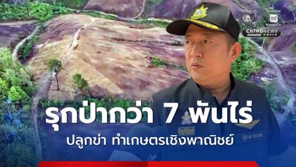 รุกป่ากว่า 7 พันไร่ ปลูกข่า ทำเกษตรเชิงพาณิชย์