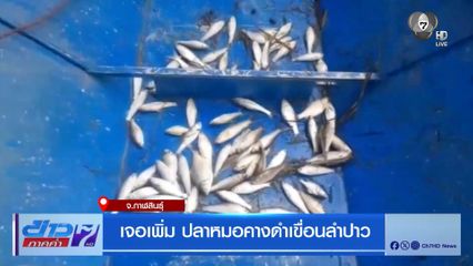 เจอเพิ่ม ปลาหมอคางดำเขื่อนลำปาว จ.กาฬสินธุ์