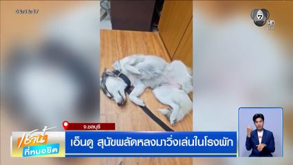 เอ็นดู สุนัขพลัดหลงมาวิ่งเล่นในโรงพัก