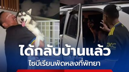 ได้กลับบ้านแล้ว ตำรวจ ส่ง "ชิเอล" ไซบีเรียนพัดหลงคืนเจ้าของ