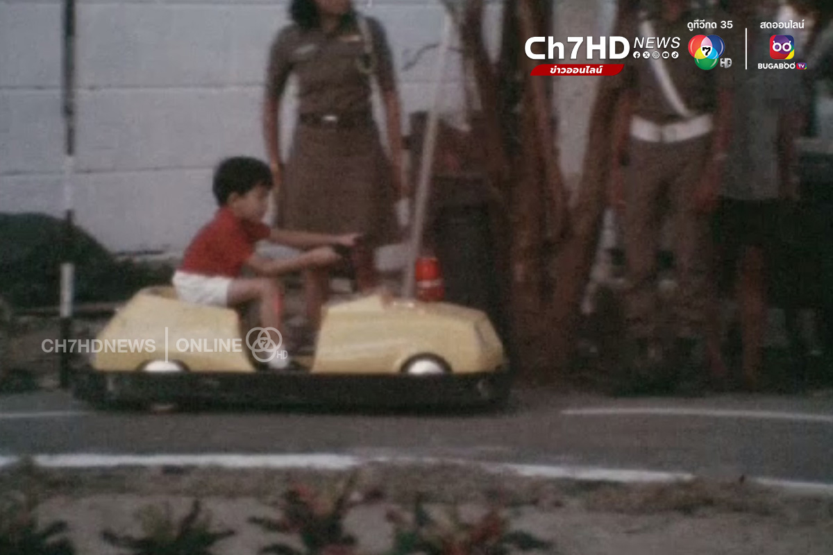 งานกาชาด