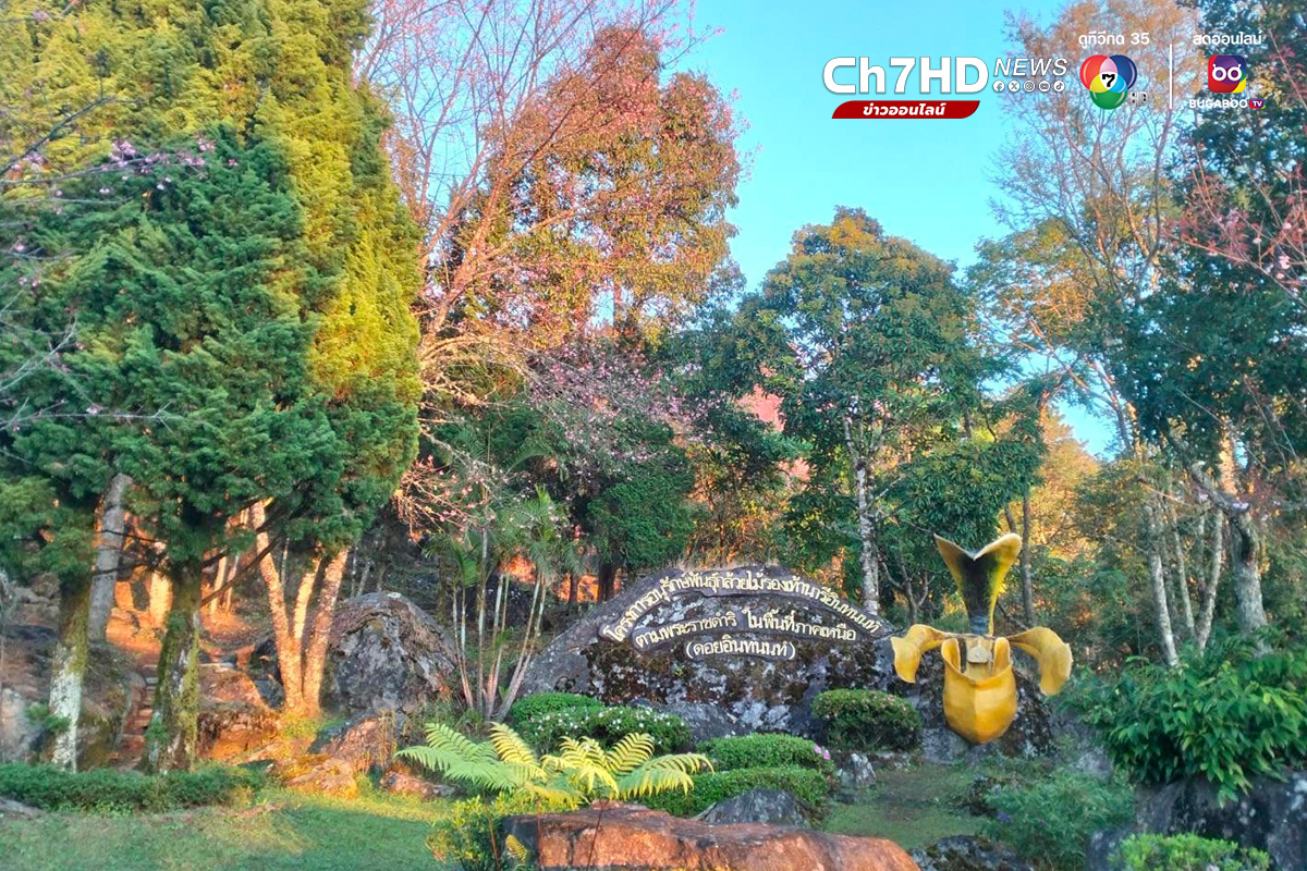 ดอยอินทนนท์